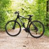 bicycle-daylight-forest-100582